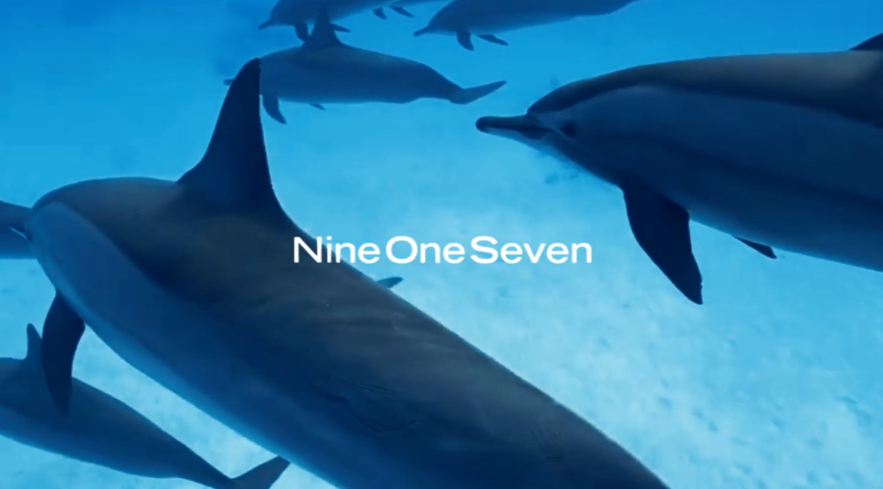 917 x TOKEN Transmission from John C. Lilly